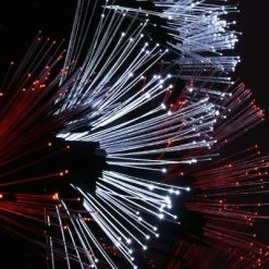 National Tree Company 4 ft. Black Fiber Optic Tree with Candy Corn Color Lights 6 National Tree Company 4 ft. Black Fiber Optic Tree with Candy Corn Color Lights -Christmas Trees Sales Store unnamed file 9136