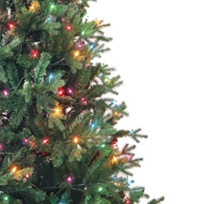 Kurt S. Adler Kurt Adler 7' Pre-Lit Multi-Color Incandescent Jackson Pine Tree 2 Kurt S. Adler Kurt Adler 7' Pre-Lit Multi-Color Incandescent Jackson Pine Tree - Image 2