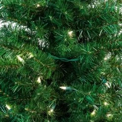 Kurt S. Adler Kurt Adler 5' Pre-Lit Potted Tree Set (Set of 2 Trees) 6 Kurt S. Adler Kurt Adler 5' Pre-Lit Potted Tree Set (Set of 2 Trees) -Christmas Trees Sales Store unnamed file 9209