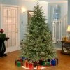 National Tree Company Pre-Lit 'Feel Real' Artificial Full Christmas Tree, Green, Frasier Grande, Dual Color LED Lights, Includes Stand, 7 Feet