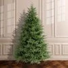National Tree Company 'Feel Real' Artificial Full Christmas Tree, Green, Frasier Grande, Includes Stand, 7.5 Feet